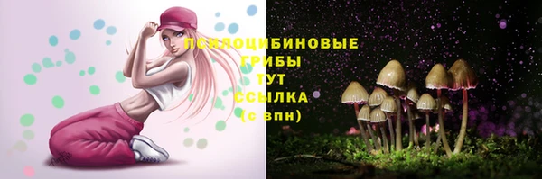 шишки Нефтекумск