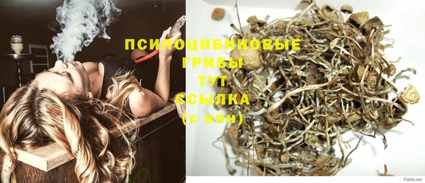 шишки Нефтекумск