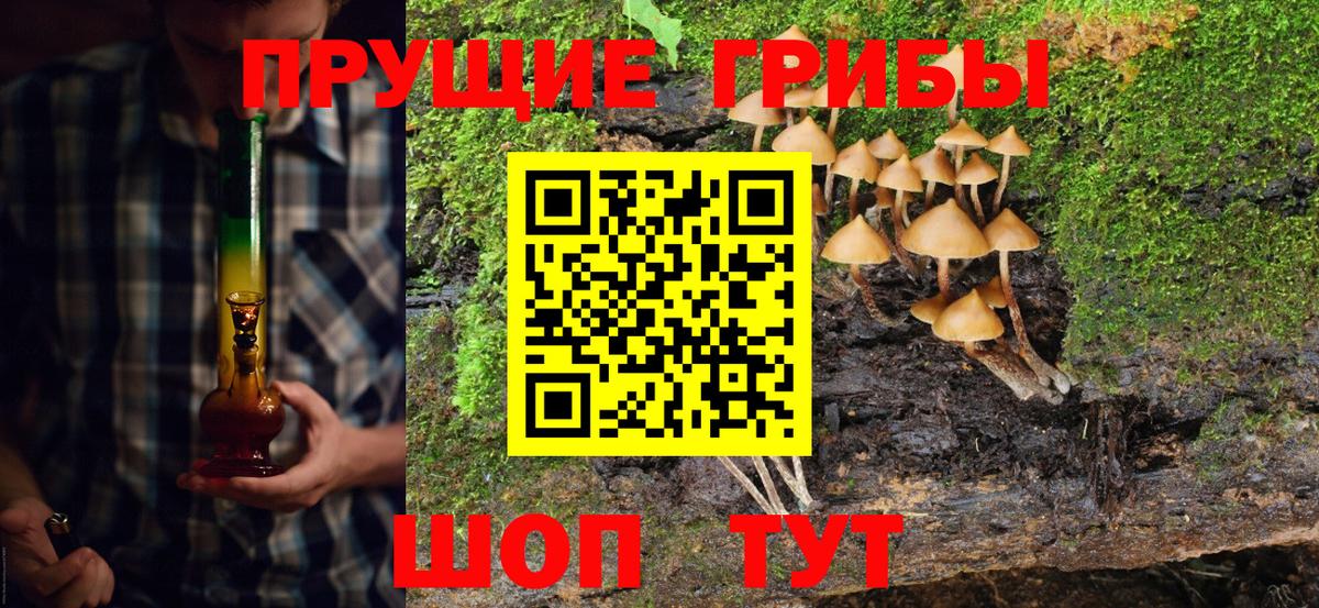 Галлюциногенные грибы прущие грибы  Вход с VPN  Псилоцибиновые грибы мицелий  Пермь 